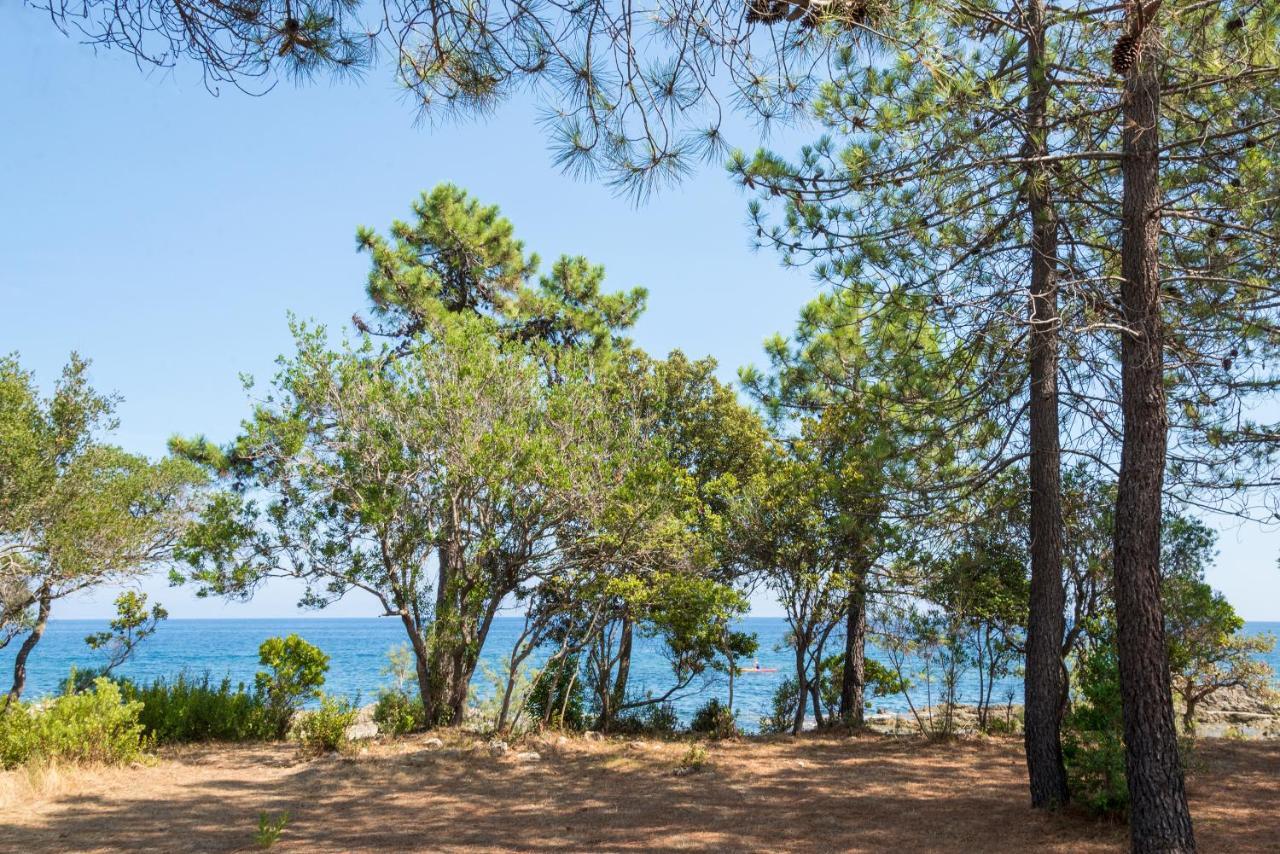 Domaine De Pianiccia Apartment Favone Luaran gambar